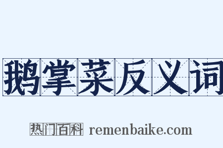 鹅掌菜反义词是什么意思的图片